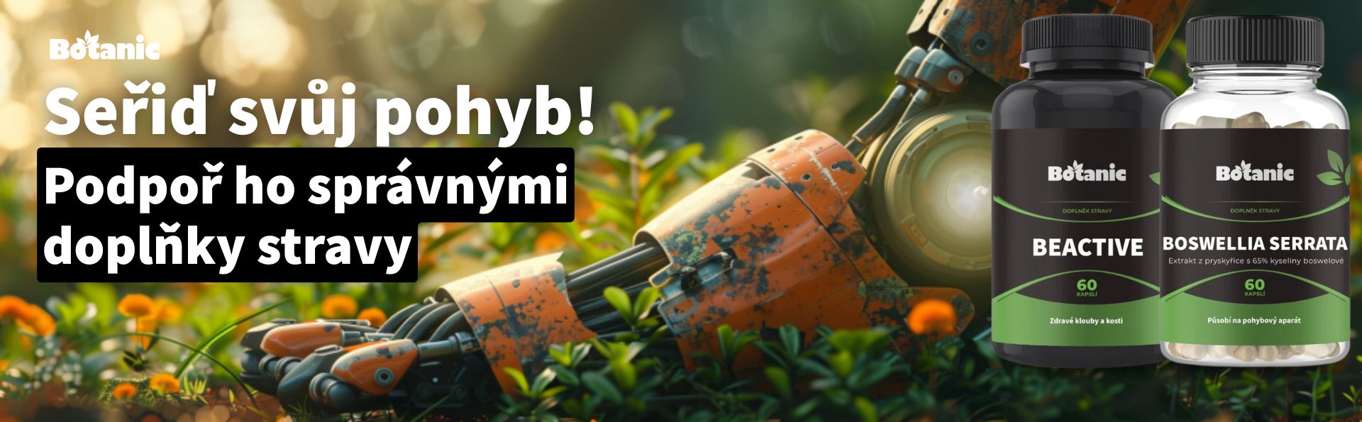 Zdravý pohyb