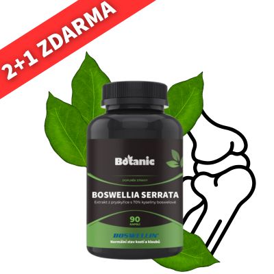 2+1 zdarma - Boswellia