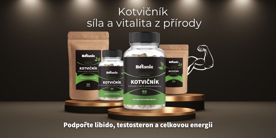 Kotvičník
