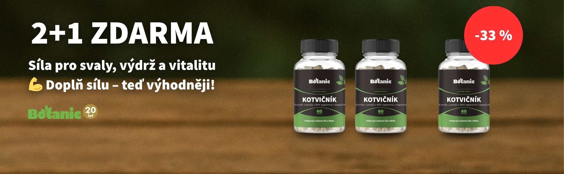 Kotvičník 2+1 zdarma