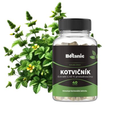 Kotvičník