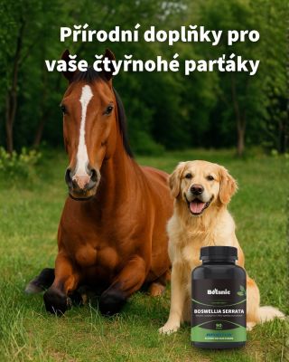 ✨ Přírodní péče pro vaše čtyřnohé parťáky ✨ Na zdraví záleží nejen nám, ale i našim nejlepším přátelům 🐎🐕. 👉 Boswellia...